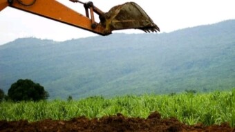 Why Nigerians Should Be Involved In Agriculture