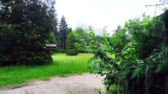 A cold and windy day for June - My Actifit Report Card: June 11 2025