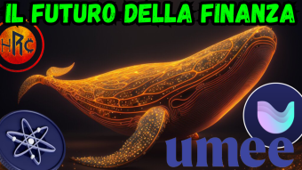 RIVOLUZIONE FINANZIARIA: SCOPRI TUTTO su UMEE | DeFi EVM + Cosmos... direzione CROSS-CHAIN!!!