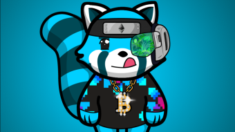 Getting Super-Early into "Panda?" - A new HOT NFT Collection?!?