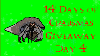 14 Days of Crabsmas Giveaway - Day 4