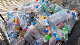 Recycling for Crypto day 3