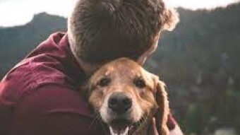 Love eternal love | Love for dogs