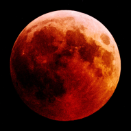 Moon Dance