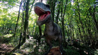 Sataplia National Park - an extraordinary viewpoint and Jurassic Park - part 2 - my trip around Georgia