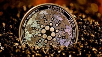 Cardano inside the Top 5 with 50% growth in one week