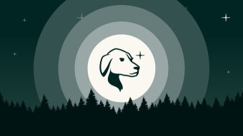 Tally Ho Wallet Summons MetaMask to Battle | It's Time for The Hound to Chase out The Fox