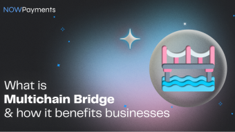 What is Multichain Bridge and How It Benefits Businesses