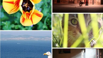 MY FIVE BEST PHOTOS