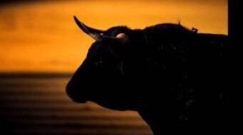 The Bitcoin Network Momentum indicator signals a reversal: is a bullish Bitcoin rally inevitable?