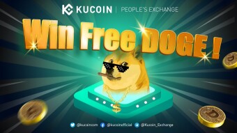 Why DogeCoin is the Best Starting Point for New Crypto Investors?
