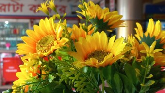 Artificial flower photography.