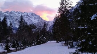 Forest Roads In Winter, Part One