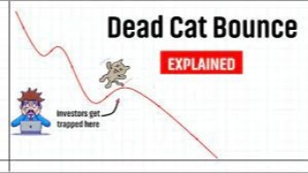 Dead cat bounce?