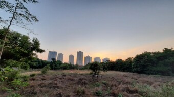 Man vs Nature At Sundown