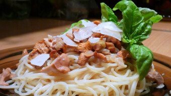 Chanterelles in cream sauce, with pasta, with Parmesan flakes, and lemon basil