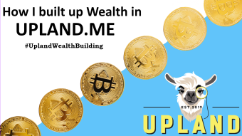 How I built Wealth in Upland
