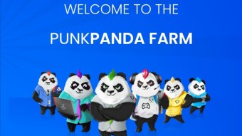 PUNKPANDA Pre-sale. For the pre-sale, PPM price will start from $0.10 and reach $1.00