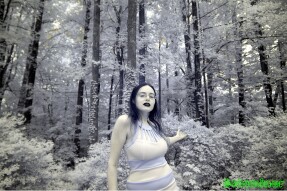 Infrared Photography - Lovely Logic surrounded by vines and bushes
