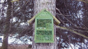 A checkered day, but with a predominance of optimism and arboreal surprises - My Actifit Report Card: February 10 2023