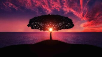 POEM: 7 Haikus From My Past BY: SDFM