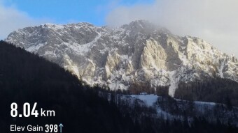 Robanov kot