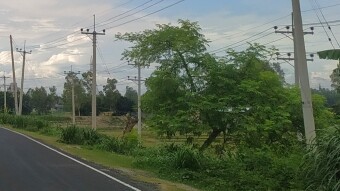 Beautiful view around the road