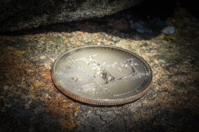 Litecoin Before Halving- An Exciting Opportunity