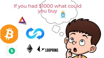 If you had $1000 what could you buy?!