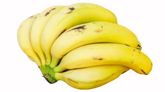 I'm a Banana! (Banana Power to the Banana Boys in the Banana Republics)
