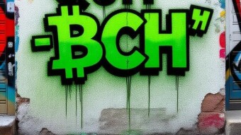 We Aren’t Fuckin’ Quit – The BCH Reality Check