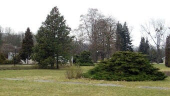 Another nice day with a light spring breeze - My Actifit Report Card: February 23 2023