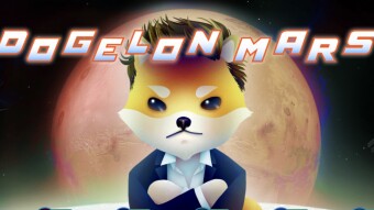 E&S (Meme-Token Edition): ELON, The Third Largest Dog-Meme Token