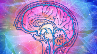 The Fantastic World of Consciousness: The Secret of The Mind.