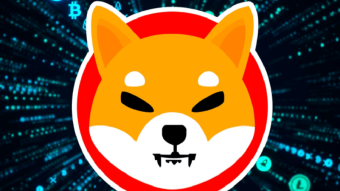 HOW POWERFUL IS THAT SHIBA INU TOKEN OF YOURS?