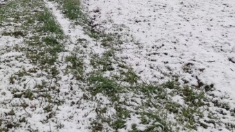 Countryside hiking - It is snowing