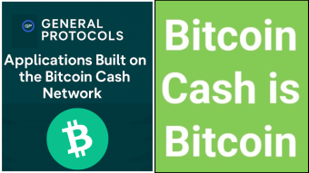 Bringing Programmable Money to Life on BCH with General Protocols