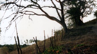 The Island of no return