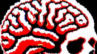 TikTok : The brain rotter