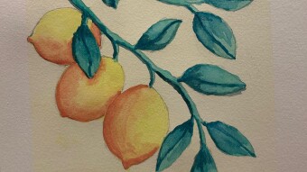 Reckless Lemons