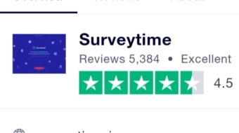 Highest Paying Surveys