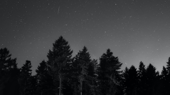 The Night I slept with three girls
