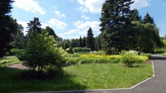 Another visit to the garden of Park Śląski, of course on a bike