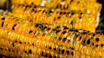 Top 6 features to look for in a BBQ - 2020 Edition