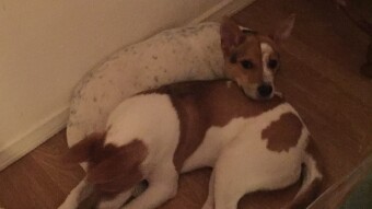 They still love  that spot