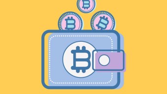 Top 5 Crypto Wallets (Detailed Review)
