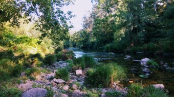 Trip to Portugal - Couce #6
