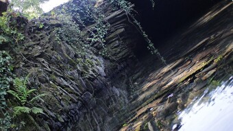 Trip to Azenha Virgin Forest #2 - S.Justa Valongo | Portugal