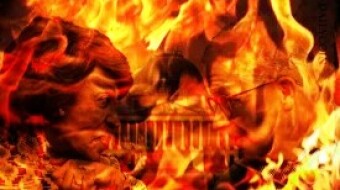 House Financial Service Ranking Member Maxine Waters Crypto History