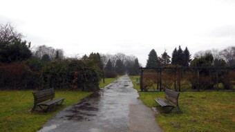 A rainy Sunday, but beautiful and very spring-like - My Actifit Report Card: February 11 2024